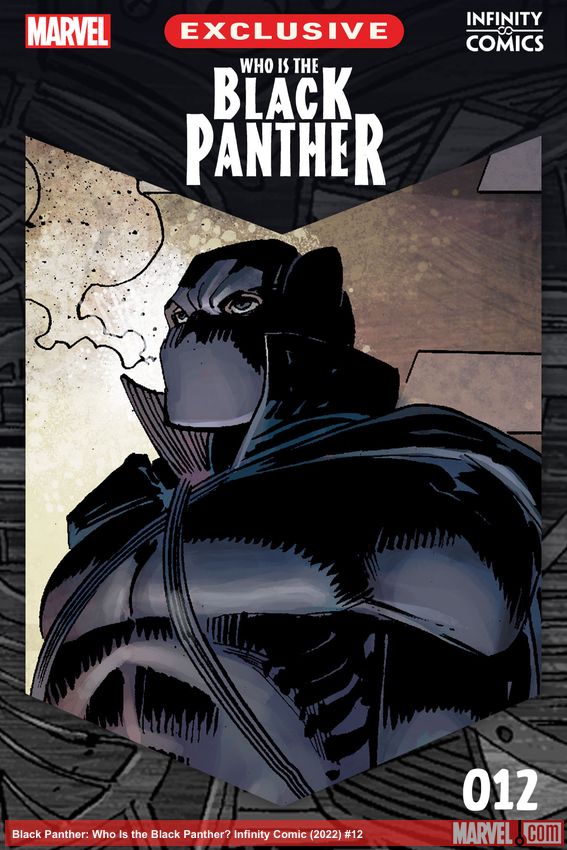 Black Panther: Who Is the Black Panther? Infinity Comic (2022) #12